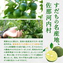 徳島県佐那河内村の画像3