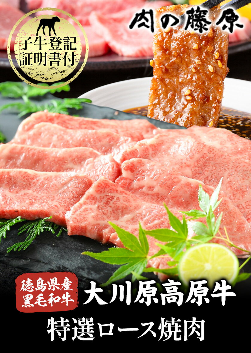 【ふるさと納税】大川原高原牛 特選ロース 焼肉 選べる 内容量 500g or 1kg 冷凍便 肉の藤原《30日以内に出荷予定(土日祝除く)》和牛 希少 大川原高原 牛肉 焼肉 ロース 贅沢 バーベキュー BBQ キャンプ ギフト 贈答 徳島県 佐那河内村