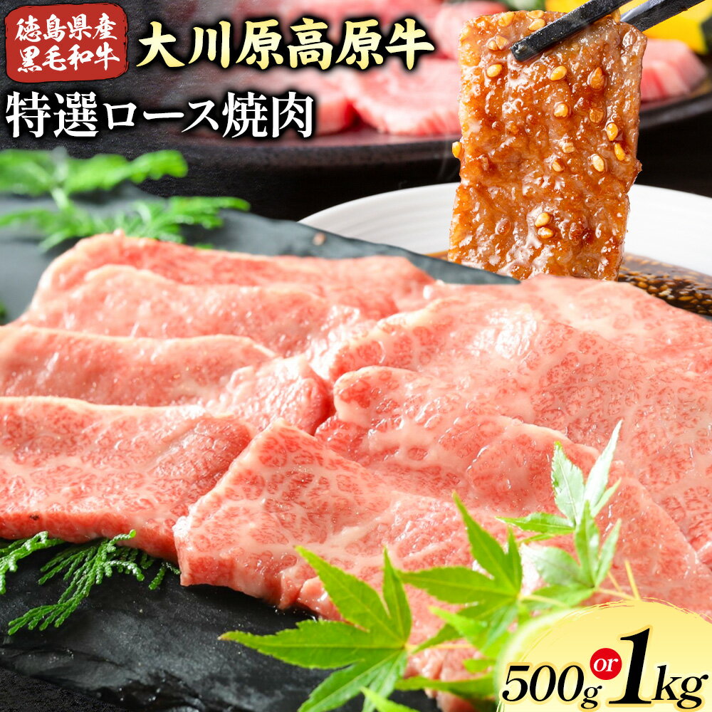 大川原高原牛 特選ロース 焼肉 選べる 内容量 500g or 1kg 冷凍便 肉の藤原[30日以内に出荷予定(土日祝除く)]和牛 希少 大川原高原 牛肉 焼肉 ロース 贅沢 バーベキュー BBQ キャンプ ギフト 贈答 徳島県 佐那河内村