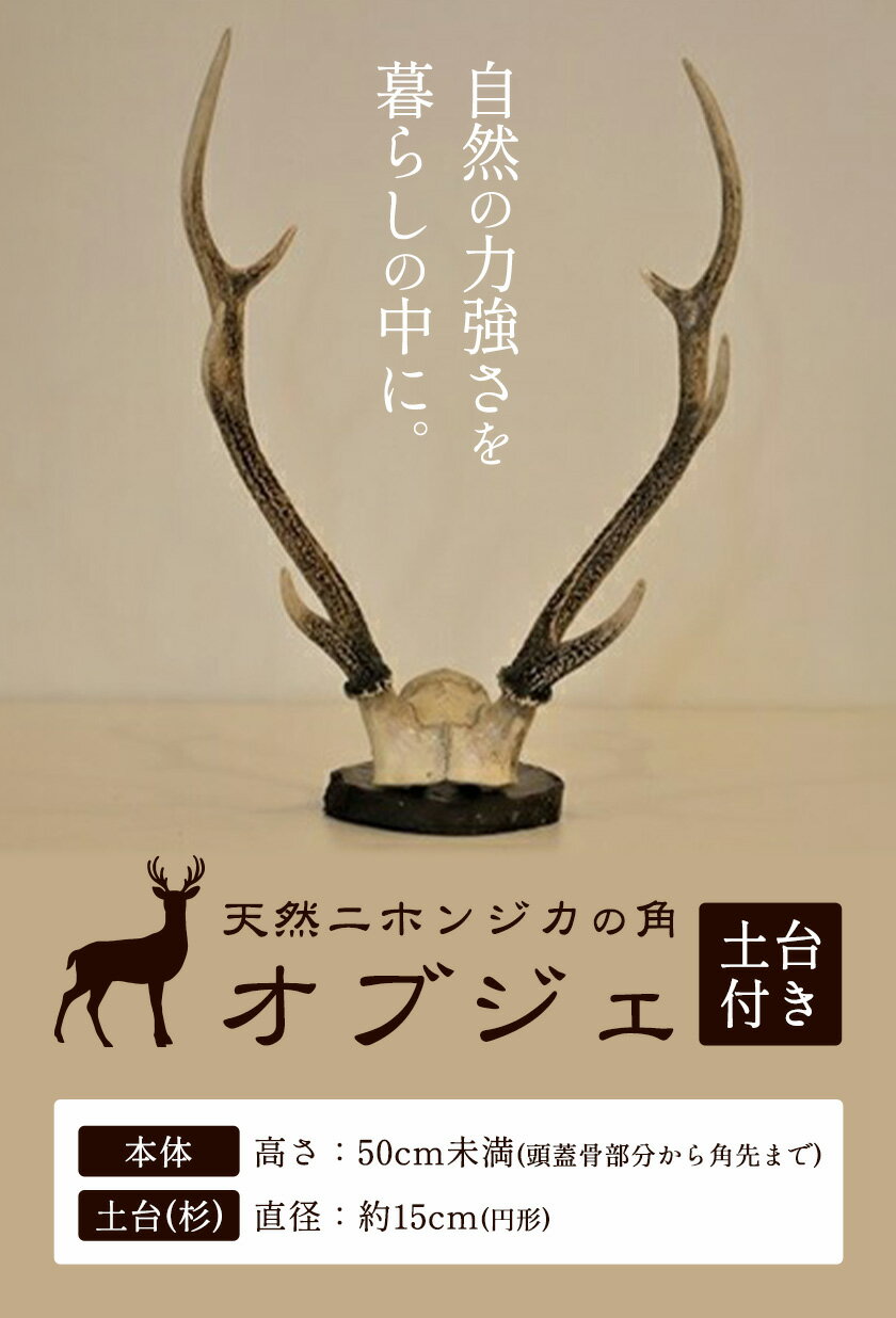 徳島県佐那河内村の画像2