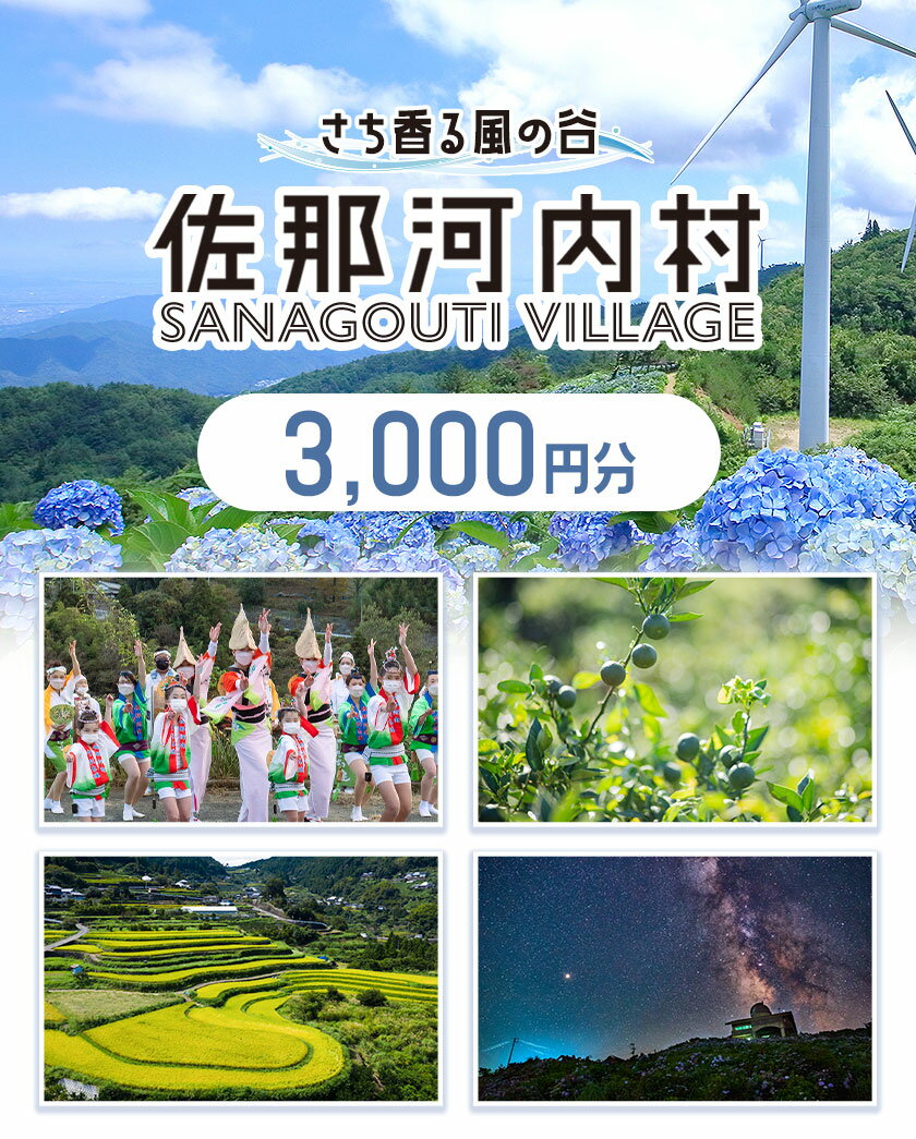【ふるさと納税】徳島県佐那河内村の対象施設で使える楽天トラベルクーポン 寄付額10,000円