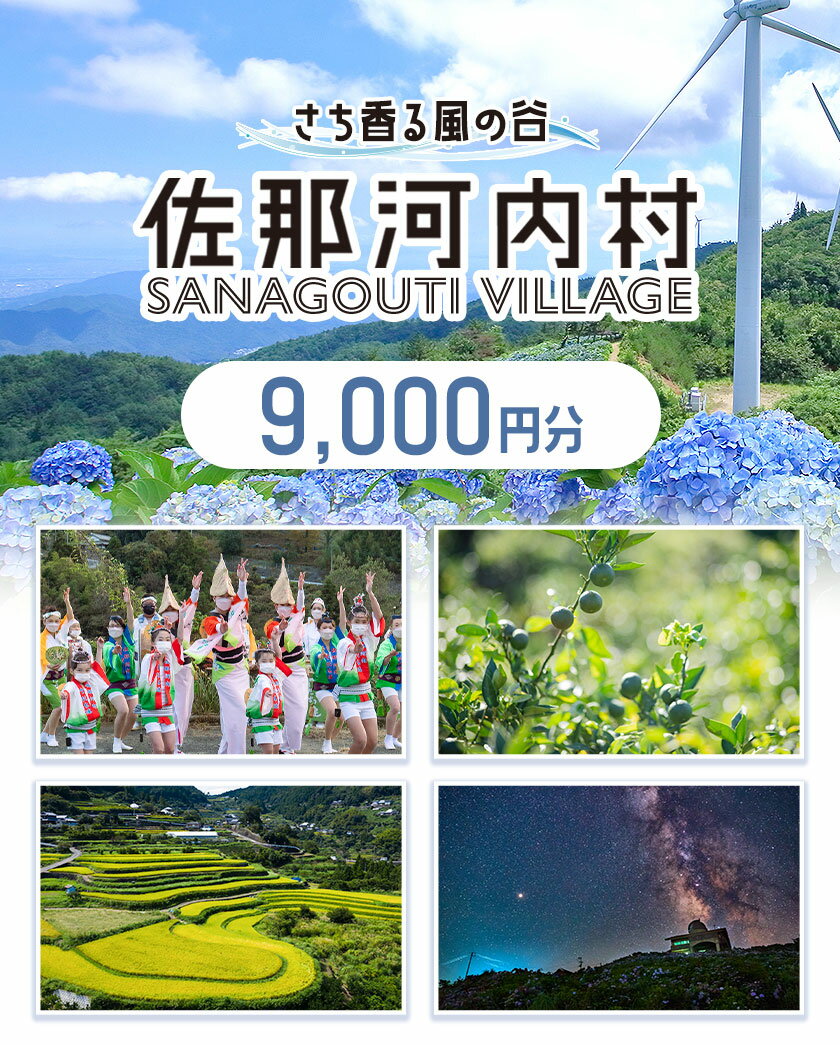 徳島県佐那河内村の画像2