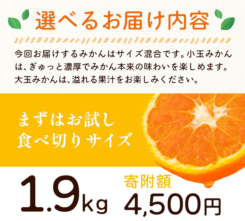 【ふるさと納税】訳あり 熟成みかん 1.9kg or 4.5kg or 10kg 《1月上旬-3月上旬出荷》徳島 柑橘 ミカン 蜜柑 フルーツ 青果物 大容量 お試し 徳島県 佐那河内村