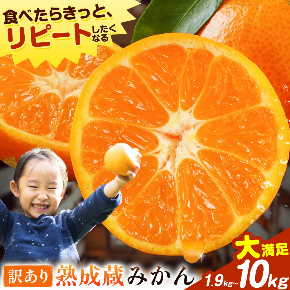 【ふるさと納税】訳あり 熟成みかん 1.9kg or 4.5kg or 10kg 《1月上旬-3月上旬出荷》徳島 柑橘 ミカン 蜜柑 フルーツ 青果物 大容量 お試し 徳島県 佐那河内村
