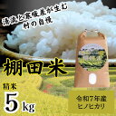 【ふるさと納税】”清流と寒暖差が生む“村自慢の「棚田米」5kg《10月上旬-10月末頃発送》※袋パッケージが変更になる可能性がございます。 佐那河内 さなごうち 徳島 新米 ひのひかり ヒノヒカリ 5キロ 弁当 令和7年 棚田 精米 お米 2025年 白米 ごはん