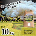 【ふるさと納税】”清流と寒暖差が生む“村自慢の「棚田米」10kg 《10月上旬-10月末頃発送》 ※袋パッケージが変更になる可能性がございます [佐那河内 さな...