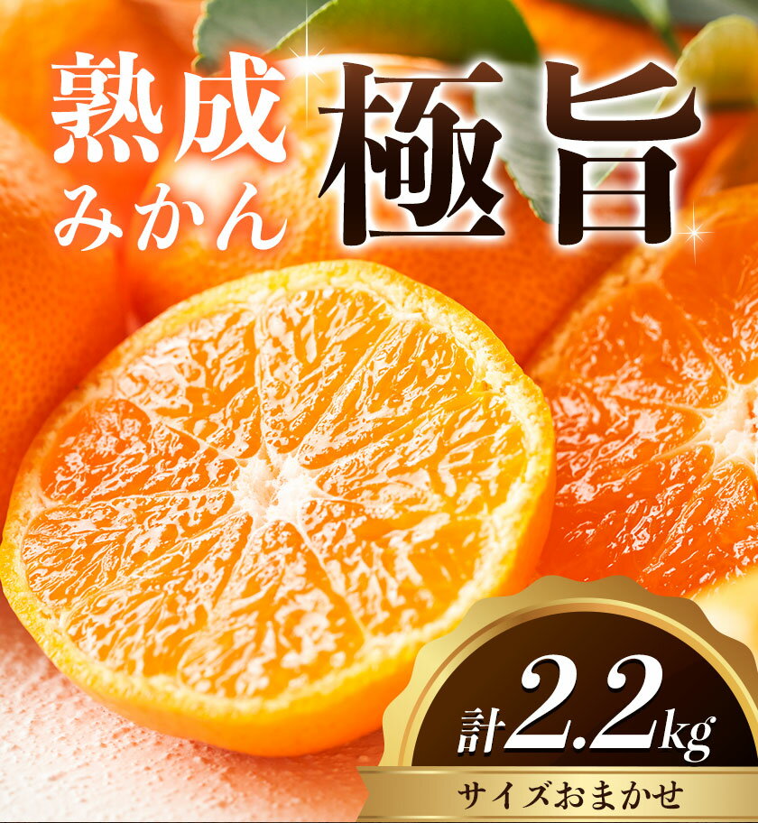 【ふるさと納税】＜先行予約＞ 熟成みかん『極旨』1箱or2箱 廣畠農園《2月初旬-2月末頃出荷予定》徳島県 佐那河内村 みかん ミカン 蜜柑 柑橘 箱入り 化粧箱 フルーツ 果物 くだもの 贈答 【配送不可地域あり】※離島