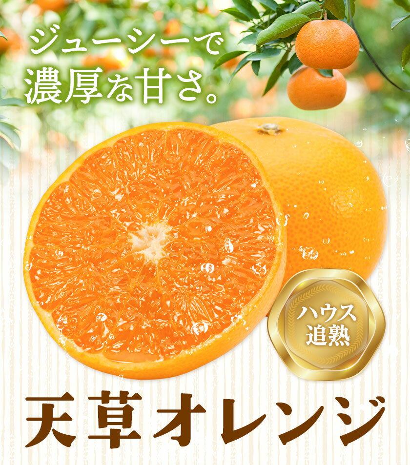 徳島県佐那河内村の画像2