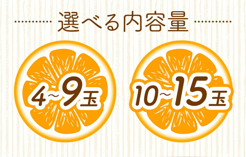 徳島県佐那河内村の画像3