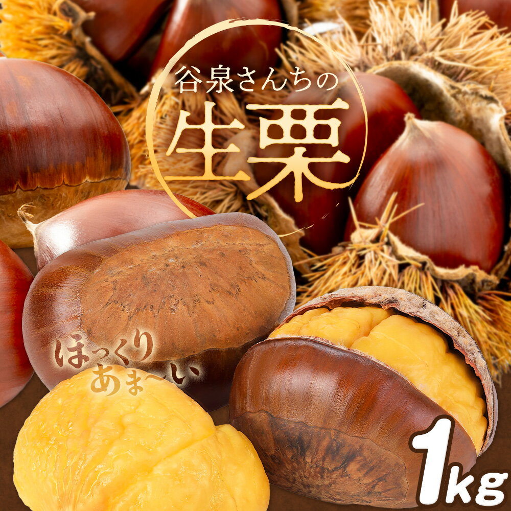 【ふるさと納税】【数量限定】栗 生栗 くり 谷泉さんちの生栗 1kg 谷泉功《10月上旬-10月末頃出荷》徳島県 佐那河内村 送料無料 クリ 旬 秋 果物 栗ごはん スイーツ お取り寄せ【配送不可地域あり】(離島)のサムネイル