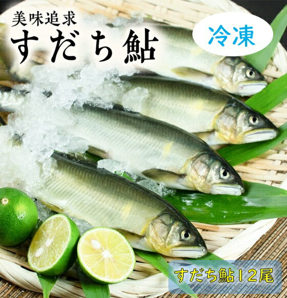 阿波の鮎 美味追求 すだち鮎12尾(冷凍)