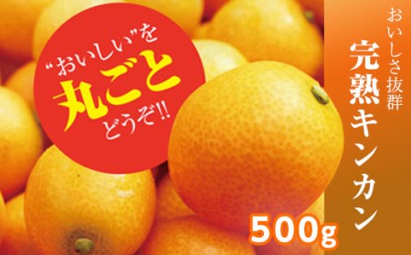 【ふるさと納税】さなごうちフルーツ金柑500g※2023年1月中旬頃から発送