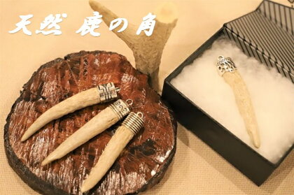 天然・鹿の角アクセサリー用パーツ　※離島不可