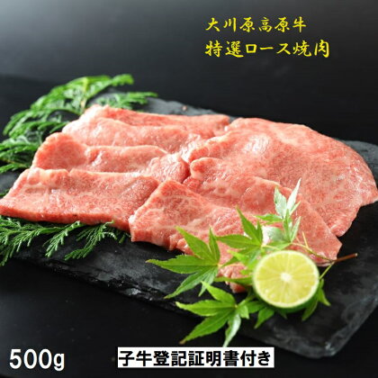 「大川原高原牛」特選ロース焼肉　500g