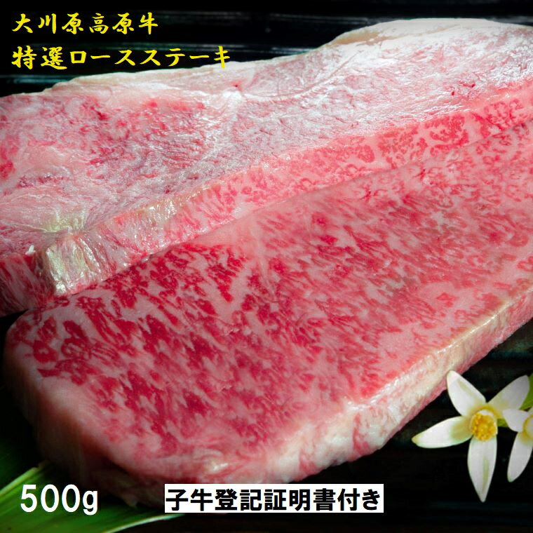 「大川原高原牛」特選ロースステーキ 500g(250g×2枚)