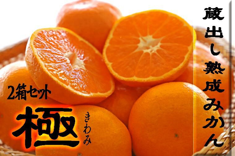 6820円 今季ブランド ふるさと納税 佐那河内産きゅうり 1箱 約5kg入り ※2023年1月頃から発送 徳島県佐那河内村 6820円 今季ブランド ふるさと納税 佐那河内産きゅうり 1箱 約5kg入り ※2023年1月頃から発送 徳島県佐那河内村