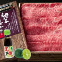 【ふるさと納税】すだちとのベストマッチ!阿波牛(スライス)すだちポン酢セット