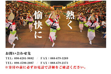 【ふるさと納税】阿波踊り　出前エンターテイメント　滋賀・京都・三重・奈良・和歌山・大阪・兵庫・鳥取・岡山・島根・広島・山口