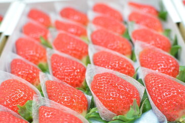 【ふるさと納税】さくらももいちご 20玉または24玉入り化粧箱 ※北海道・東北・沖縄・離島への配送不可
