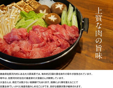 【ふるさと納税】大川原高原牛 赤身切り落とし750g