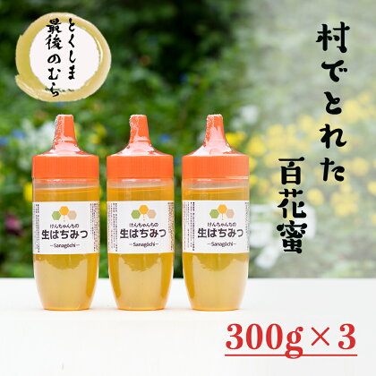 けんちゃんちの生はちみつ300g×3本