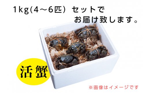 【ふるさと納税】川の最高級食材 もくず蟹（天然活き）※7月頃から発送