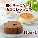 【ふるさと納税】010-056 半生チーズケーキ&スフレショコラ