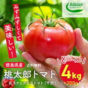 【ふるさと納税】009-101 桃太郎トマト 4kg スナック