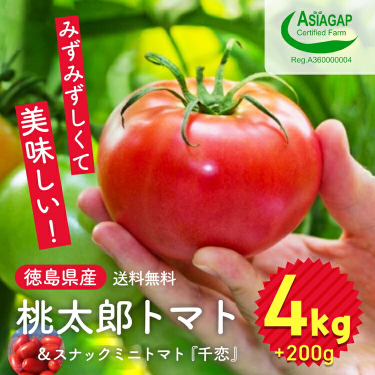 野菜・きのこ(トマト)人気ランク6位　口コミ数「25件」評価「4.48」「【ふるさと納税】009-101 桃太郎トマト 4kg スナックミニトマト千恋 200g※2023年11月中旬～2024年6月上旬頃に順次発送予定※離島への配送不可※着日指定不可」