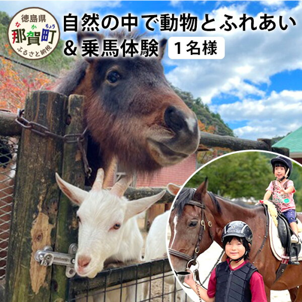 【ふるさと納税】自然の中で動物とふれあい＆乗馬体験（1名）CC-1