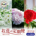 【ふるさと納税】【お花の定期便】3回配送 那賀町産 けいとう・アリウムコワニー・しゃくやく【相生の花】生花 お花 花束 生け花 華道 ケイトウ 芍薬【生産者直送...