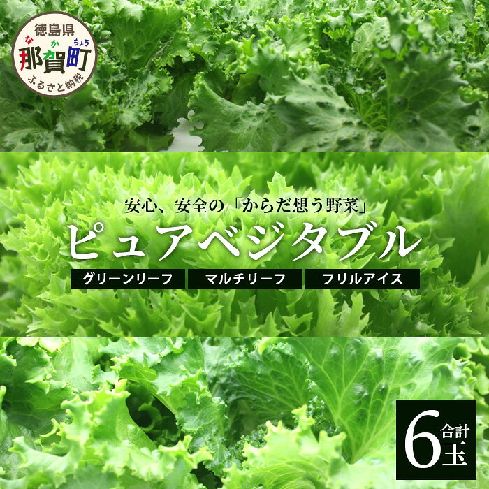 ピュアベジタブル 6袋［徳島県産 那賀町 やさい 野菜 新鮮 リーフレタス フリルレタス ベジタブル サラダ 野菜生活 レタス 国産 安心 安全 無農薬 農薬未使用 機能性野菜 工場栽培 工場直送］【NV-1】