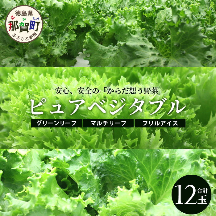 ピュアベジタブル 12袋［徳島県産 那賀町 やさい 野菜 新鮮 リーフレタス フリルレタス ベジタブル サラダ 野菜生活 レタス 国産 安心 安全 無農薬 農薬未使用 機能性野菜 工場栽培 工場直送］【NV-2】