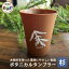 ڤդ뤵Ǽǡۥܥ˥륿֥顼Į -BOTANICAL Tumbler-NW-2