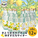 【ふるさと納税】きとうゆずサイダー&ゆずスダチサイダー 各6本×2種 (計12本セット)【徳島 那賀 木頭地区 木頭ゆず 木頭ユズ 木頭柚子 ゆず ユズ 柚子 ...