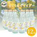 10位! 口コミ数「0件」評価「0」きとうゆずサイダー　340ml×12本セット OM-28