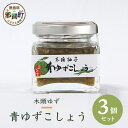【ふるさと納税】木頭ゆず青ゆずこしょう 40g 3個セット OM-40