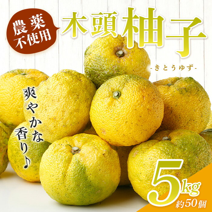 【ふるさと納税】【先行受付・期間限定】栽培期間中農薬・化学肥料不使用栽培の木...