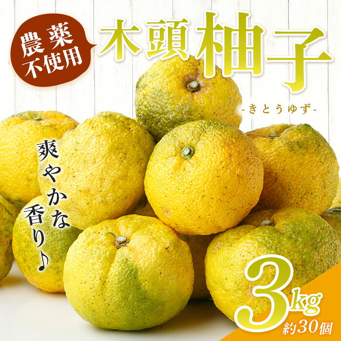 【ふるさと納税】【先行受付・期間限定】 栽培期間中農薬・化学肥料不使用栽培の木...
