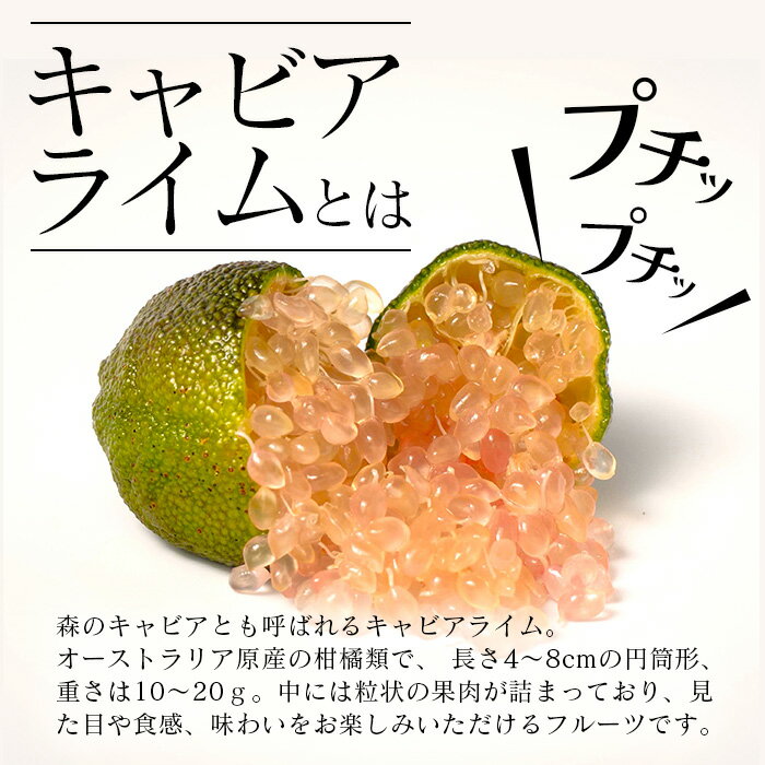 【ふるさと納税】【冷凍】キャビアライム（ピンク）100g（8～15個）徳島産 OM-8