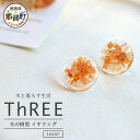 13位! 口コミ数「0件」評価「0」森の贈り物 木の樹脂 イヤリング　TR-12-1