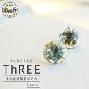 【ふるさと納税】森の贈り物 木の藍染樹脂ピアス　TR-13-2