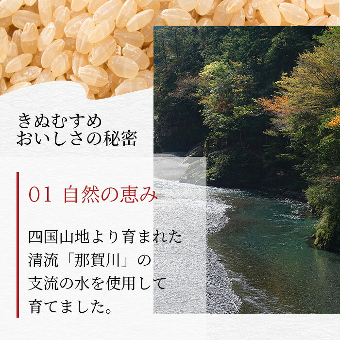 【ふるさと納税】「令和8年産 新米 先行受付」徳島県那賀町相生産 きぬむすめ 玄米 10kg 1袋「2026年10月上旬より発送」【徳島 那賀 国産 徳島県産 お米 こめ おこめ 米 ご飯 ごはん 玄米 10キロ 和食 おにぎり お弁当 おいしい 玄米 食べて応援 お取り寄せ 産地直送】YS-37 f363685-naka-10000806 徳島県那賀町 サンプル画像3