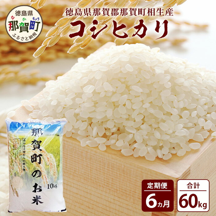 【お米の定期便6回】那賀町のお米 コシヒカリ 10kg×6回 計60kg【徳島県 那賀町 相生 国産 白米 精米 コシヒカリ 10kg 10キロ 60kg 60キロ 産地直送】YS-16