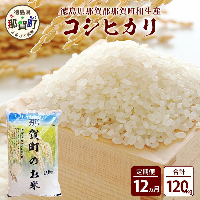 【お米の定期便12回】那賀町のお米 コシヒカリ 10kg×12回 計120kg【徳島県 那賀町 相生 国産 白米 精米 コシヒカリ 10kg 10キロ 120kg 120キロ 産地直送】YS-17