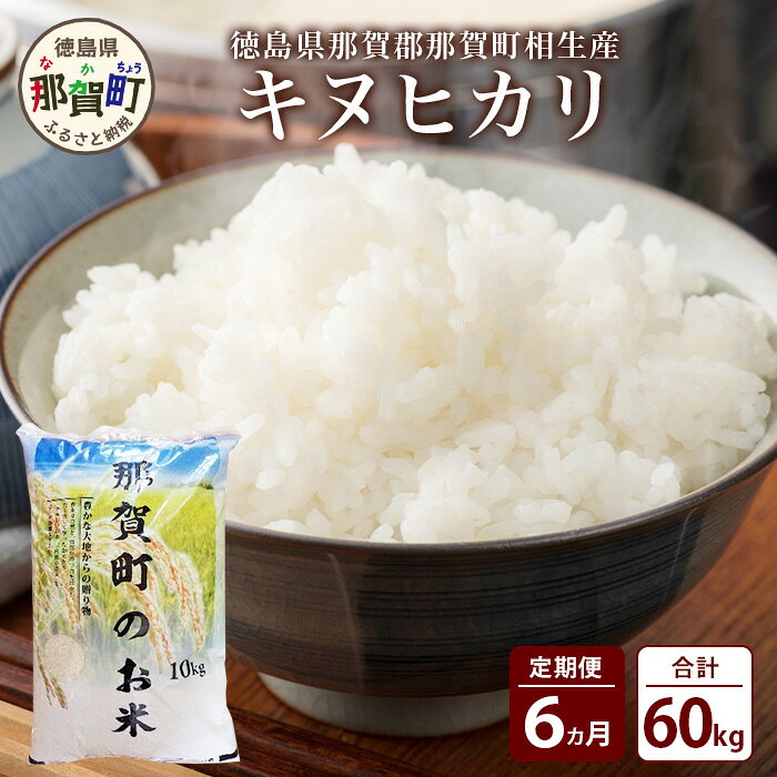 【お米の定期便6回】那賀町のお米 キヌヒカリ 10kg×6回 計60kg【徳島県 那賀町 相生 国産 白米 精米 キヌヒカリ 10kg 10キロ 60kg 60キロ 産地直送】YS-19