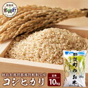 【ふるさと納税】那賀町相生産コシヒカリ玄米10kg［徳島 那賀 国産 徳島県産 こめ おこめ 米 お米 ごはん ご飯 げんまい 玄米 こしひかり コシヒカリ 10kg 和食 おにぎり お弁当 食べて応援 ギフト プレゼント 母の日 父の日］【YS-4-4】