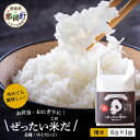 人気ランキング第13位「徳島県那賀町」口コミ数「0件」評価「0」ぜったい米だ　6合×1袋［徳島 那賀 こめ 米 おこめ お米 白米 精米 徳島県産 国産米 高級米 おいしい 冷めても美味しい お弁当 おにぎり 遠足 ピクニック 贈物 プレゼント 母の日 父の日 お中元 お歳暮］【ZP-2】