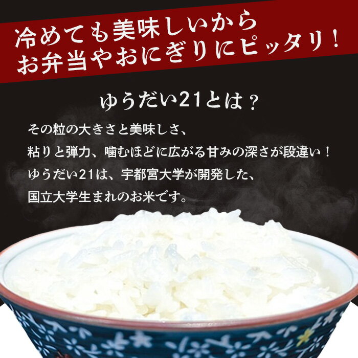 【ふるさと納税】徳島県那賀町産 ぜったい米(こめ)だ 5kg ゆうだい21【徳島 那賀町 国産 米 お米 白米 精米 5キロ 徳島県産 国産米 高級米 単一原料米 おいしい 冷めても美味しい お弁当 おにぎり 贈物 プレゼント お歳暮 ギフト 産地直送】ZP-4