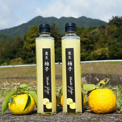 【ふるさと納税】実生ゆず果汁　200ml 2本入り【配送不可地域：離島】【1135669】